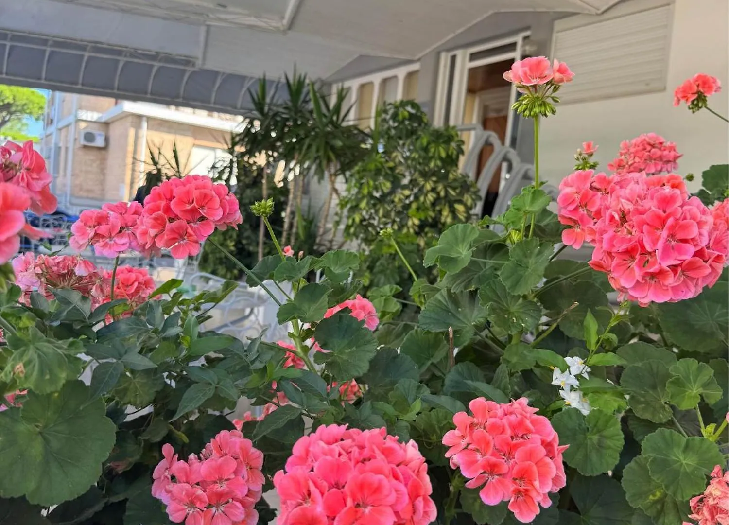 Residence Moresco Lido di Jesolo Italien